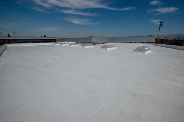 Best 4 Ply Roofing  in Louisville, MS