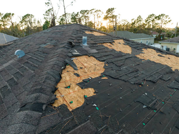 Best Gutter Installation and Repair  in Louisville, MS