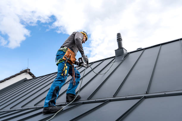 Professional Roofing Service in Louisville, MS